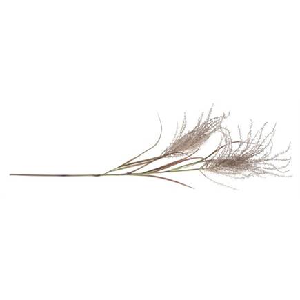 Coco Maison Pampas Grass Spray H134cm